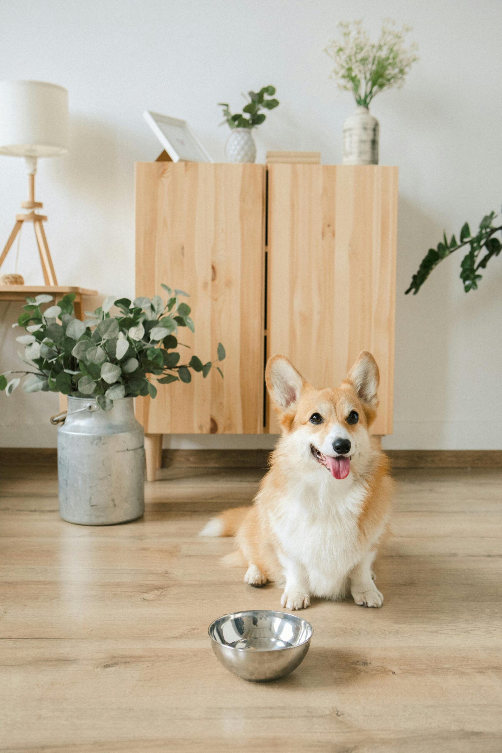 pexels-ekaterina-bolovtsova-5264084
